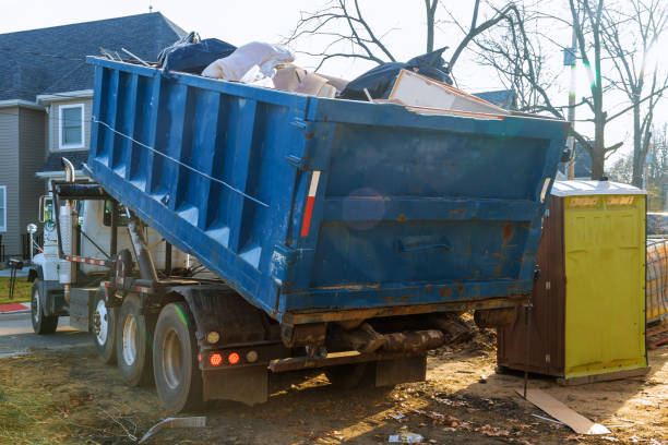 Yard Cleanup Services in Abbeville, AL